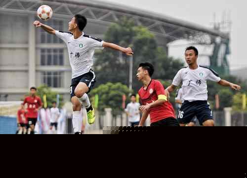 结合在地品 结合在地品